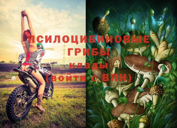 соль курить ск Наволоки