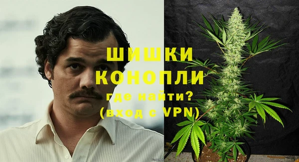 гашик Михайлов