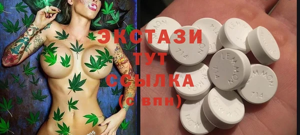 гашик Михайлов