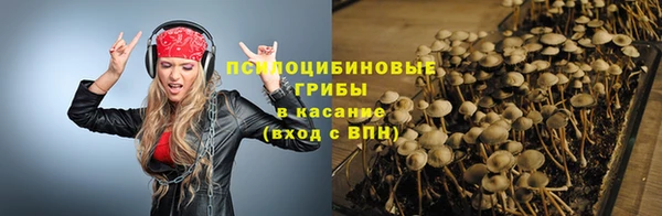 стафф Михайловка