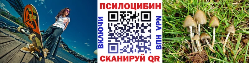 Галлюциногенные грибы GOLDEN TEACHER  хочу наркоту  Неман 